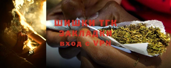 тгк Белокуриха