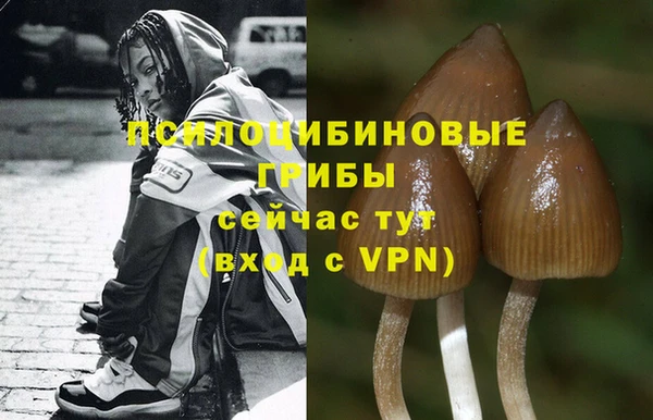 тгк Белокуриха