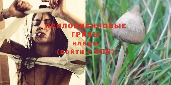тгк Белокуриха