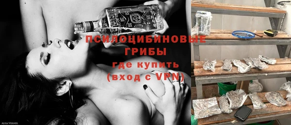 тгк Белокуриха